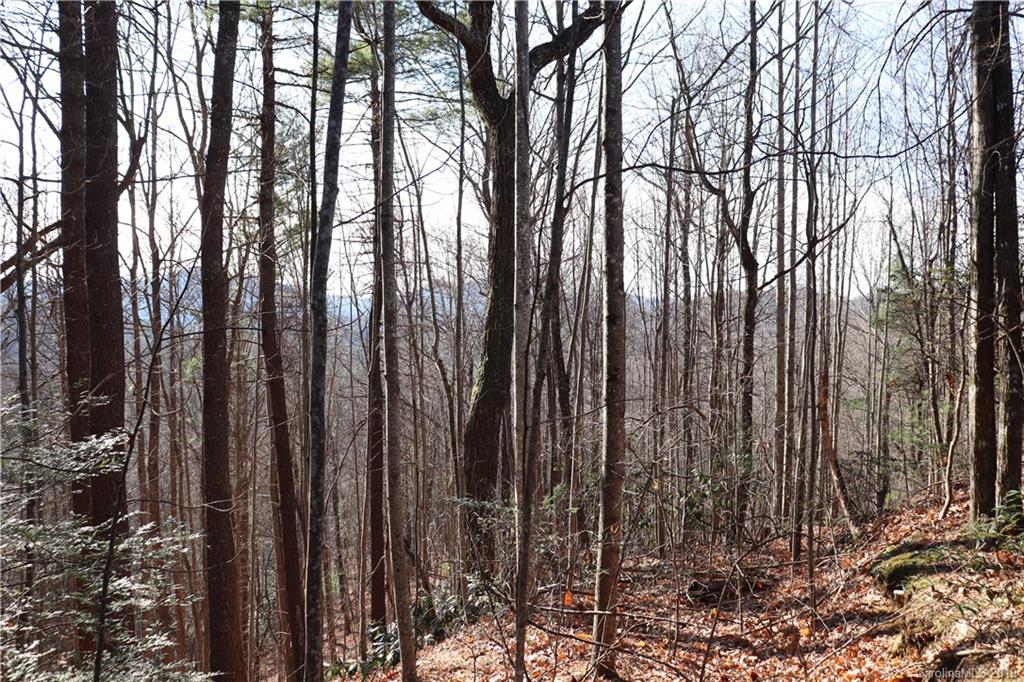 77 Long Ridge Trail Lenoir, NC 28645 - Photo 21 of 30 Gallery Image 21