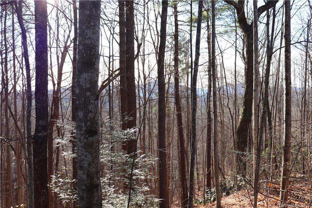 77 Long Ridge Trail Lenoir, NC 28645 - Photo 22 of 30 Gallery Image 22
