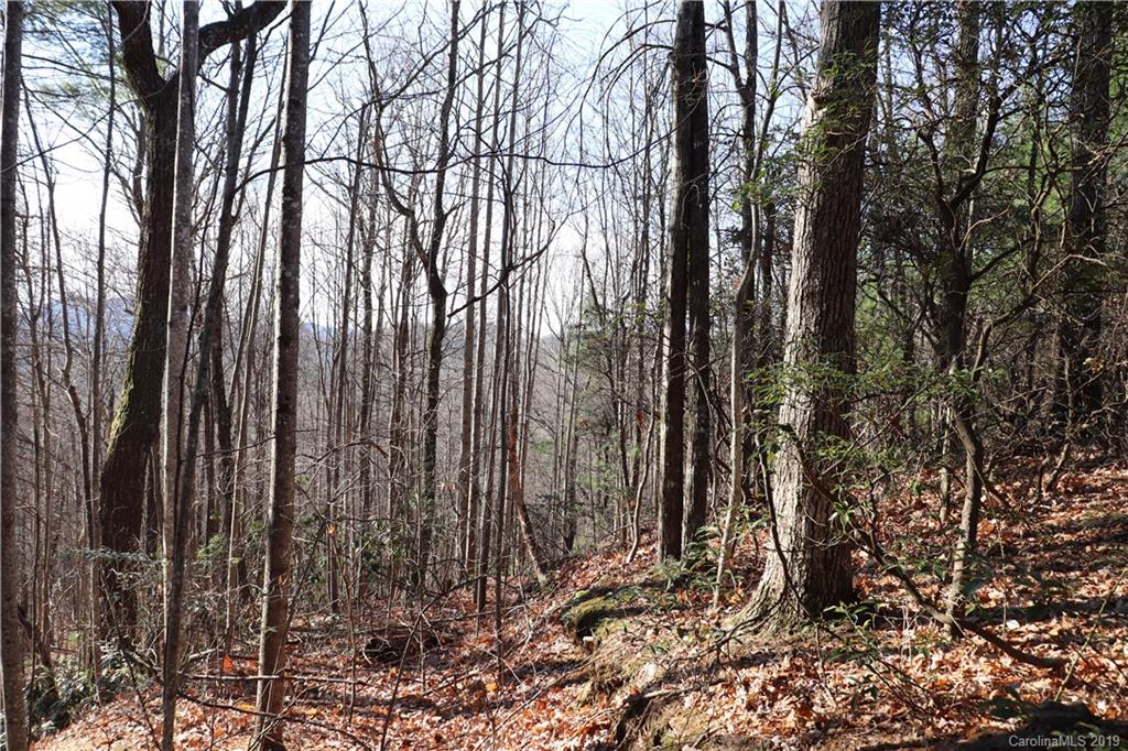 77 Long Ridge Trail Lenoir, NC 28645 - Photo 23 of 30 Gallery Image 23
