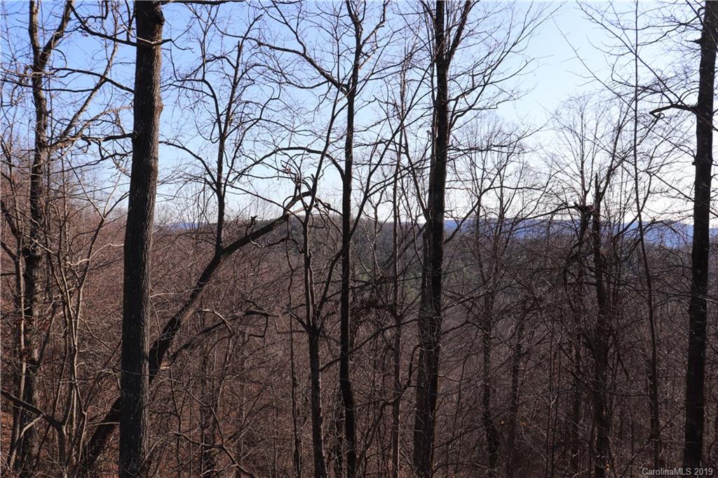 77 Long Ridge Trail Lenoir, NC 28645 - Photo 28 of 30 Gallery Image 28