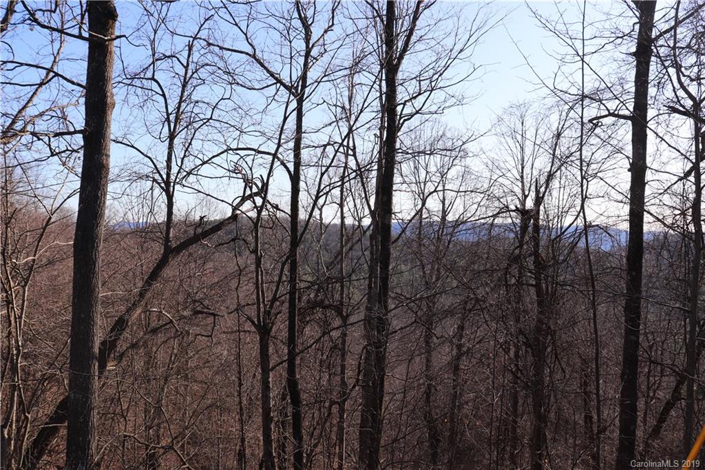 77 Long Ridge Trail Lenoir, NC 28645 - Photo 29 of 30 Gallery Image 29