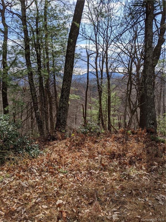 77 Long Ridge Trail Lenoir, NC 28645 - Photo 4 of 30 Gallery Image 4