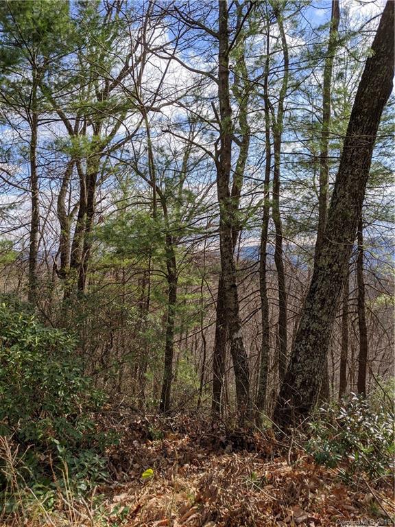 77 Long Ridge Trail Lenoir, NC 28645 - Photo 5 of 30 Gallery Image 5