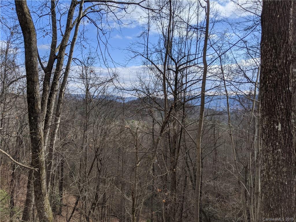 77 Long Ridge Trail Lenoir, NC 28645 - Photo 6 of 30 Gallery Image 6