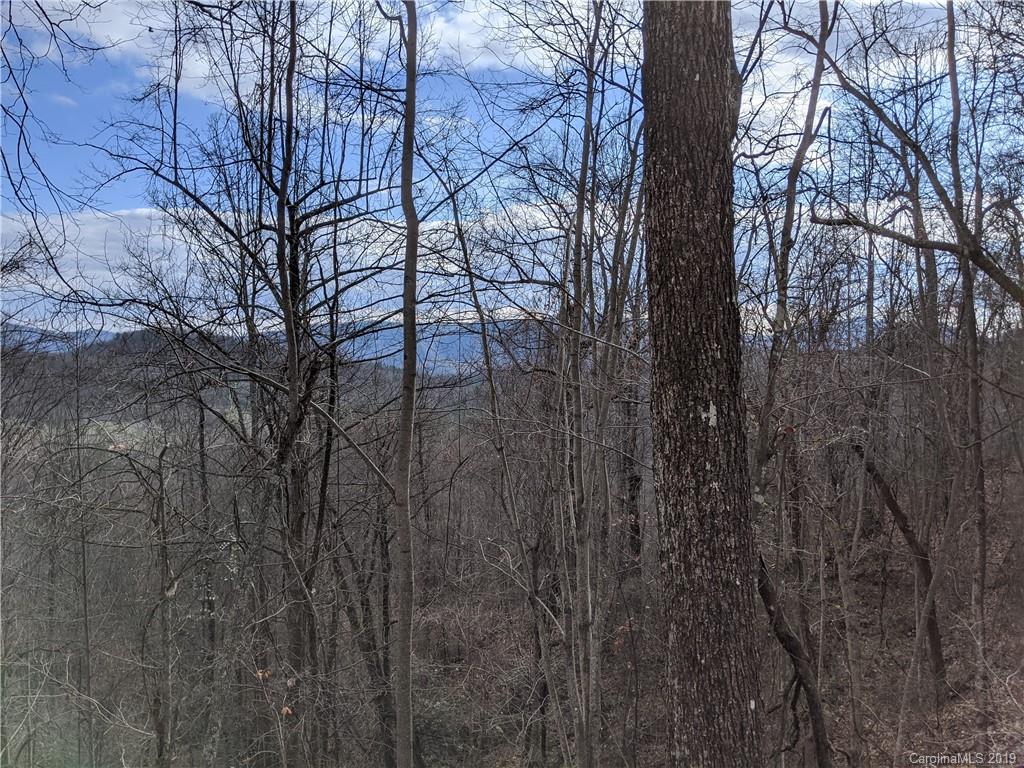 77 Long Ridge Trail Lenoir, NC 28645 - Photo 7 of 30 Gallery Image 7