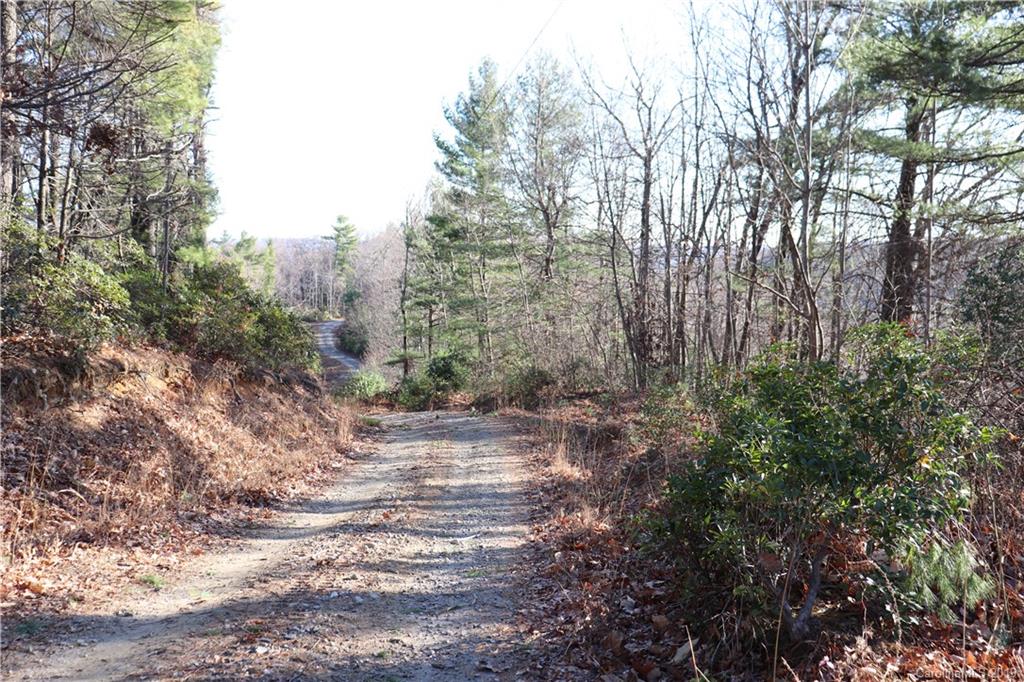 77 Long Ridge Trail Lenoir, NC 28645 - Photo 10 of 30 Gallery Image 10