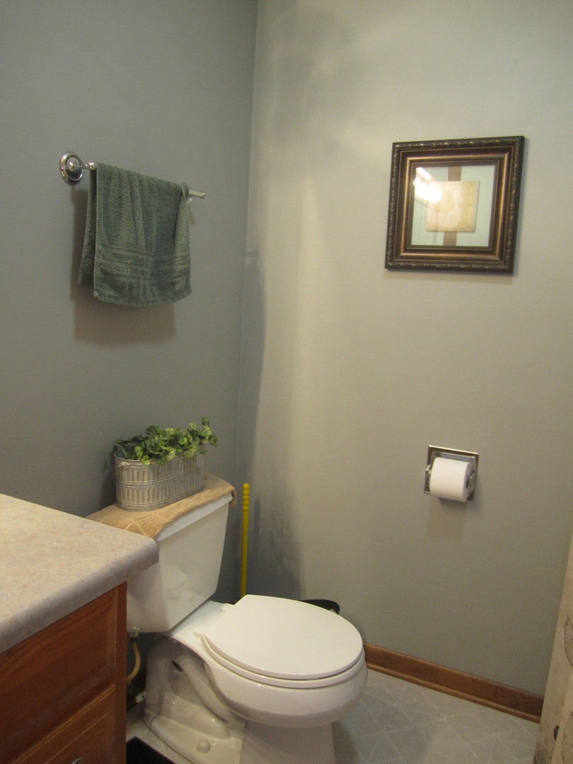 933 Lake Road New Lenox, IL 60451 - Photo 22 of 53