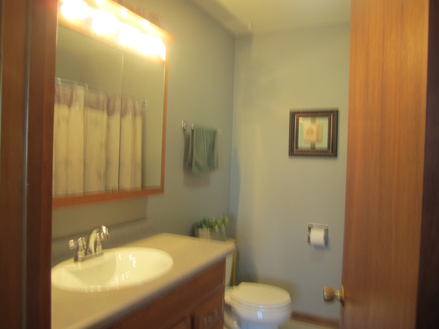 933 Lake Road New Lenox, IL 60451 - Photo 23 of 53