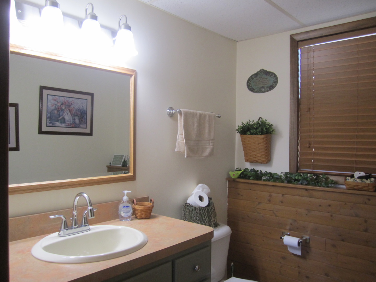 933 Lake Road New Lenox, IL 60451 - Photo 40 of 53