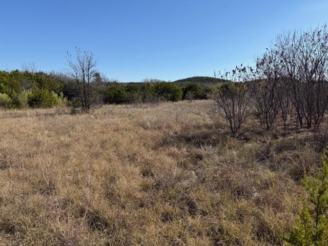 2045 Canyon Wren Loop Graford, TX 76449 - Photo 10 of 32 a view of a dry yard with wooden fence