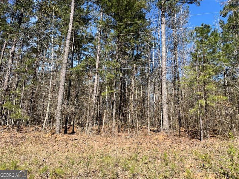 0 Jones Fairburn, GA 30213 - Photo 1 of 8