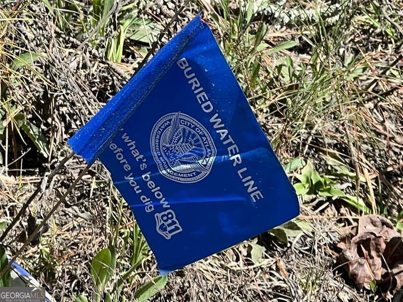 0 Jones Fairburn, GA 30213 - Photo 5 of 8