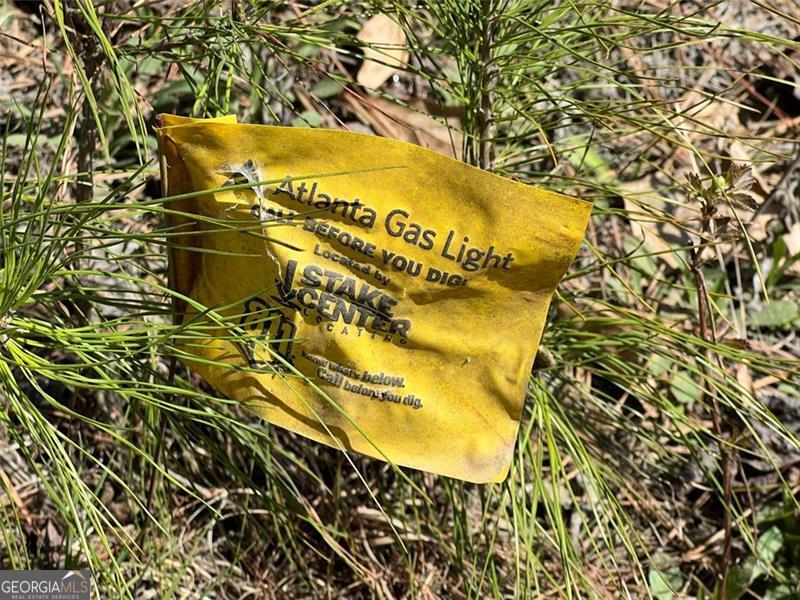 0 Jones Fairburn, GA 30213 - Photo 6 of 8