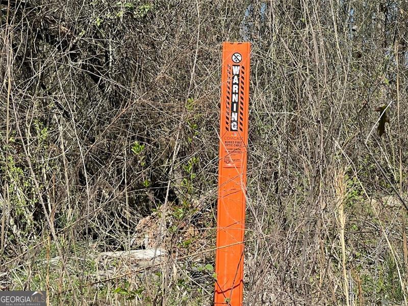 0 Jones Fairburn, GA 30213 - Photo 7 of 8