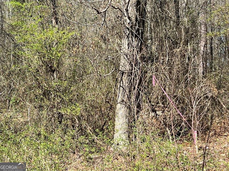 0 Jones Fairburn, GA 30213 - Photo 8 of 8