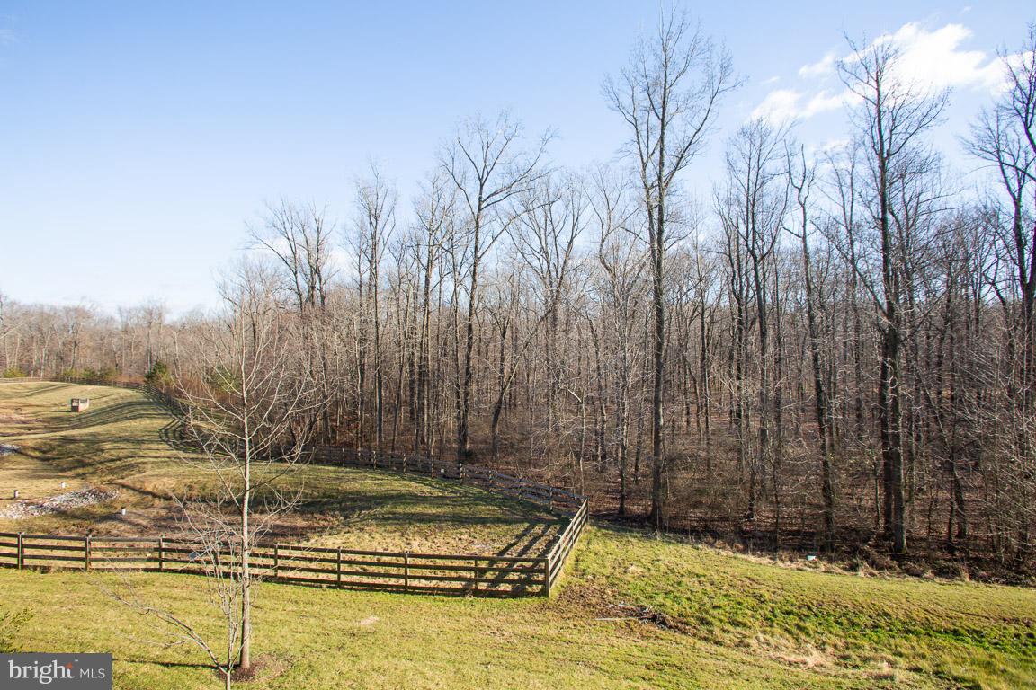 1557 Rutland Way Hanover, MD 21076 - Photo 35 of 37 Serene view from the custom deck!