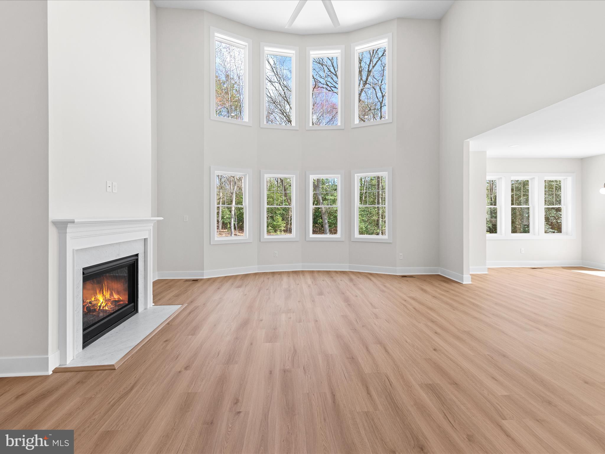 34 Rivers End Drive Seaford, DE 19973 - Photo 22 of 68 Gas Fireplace