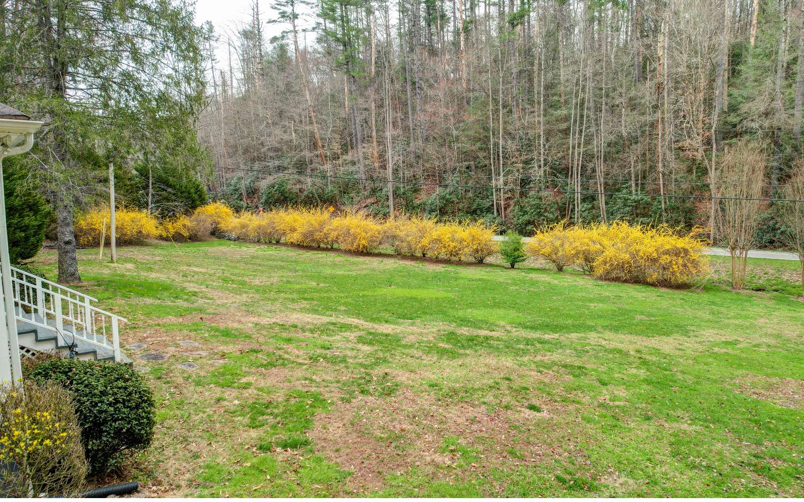 4004 Sugar Creek Road Cherry Log, GA 30522 - Photo 33 of 35 Additional View