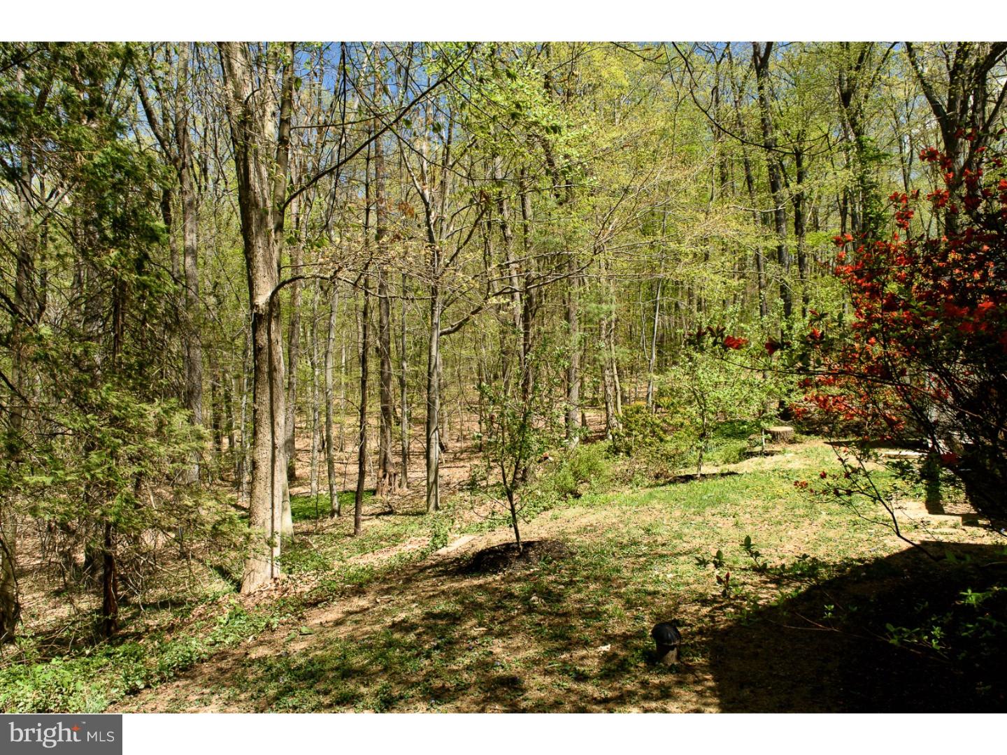 403 Valley Hill Road Exton, PA 19341 - Photo 22 of 25 Gallery Image 22