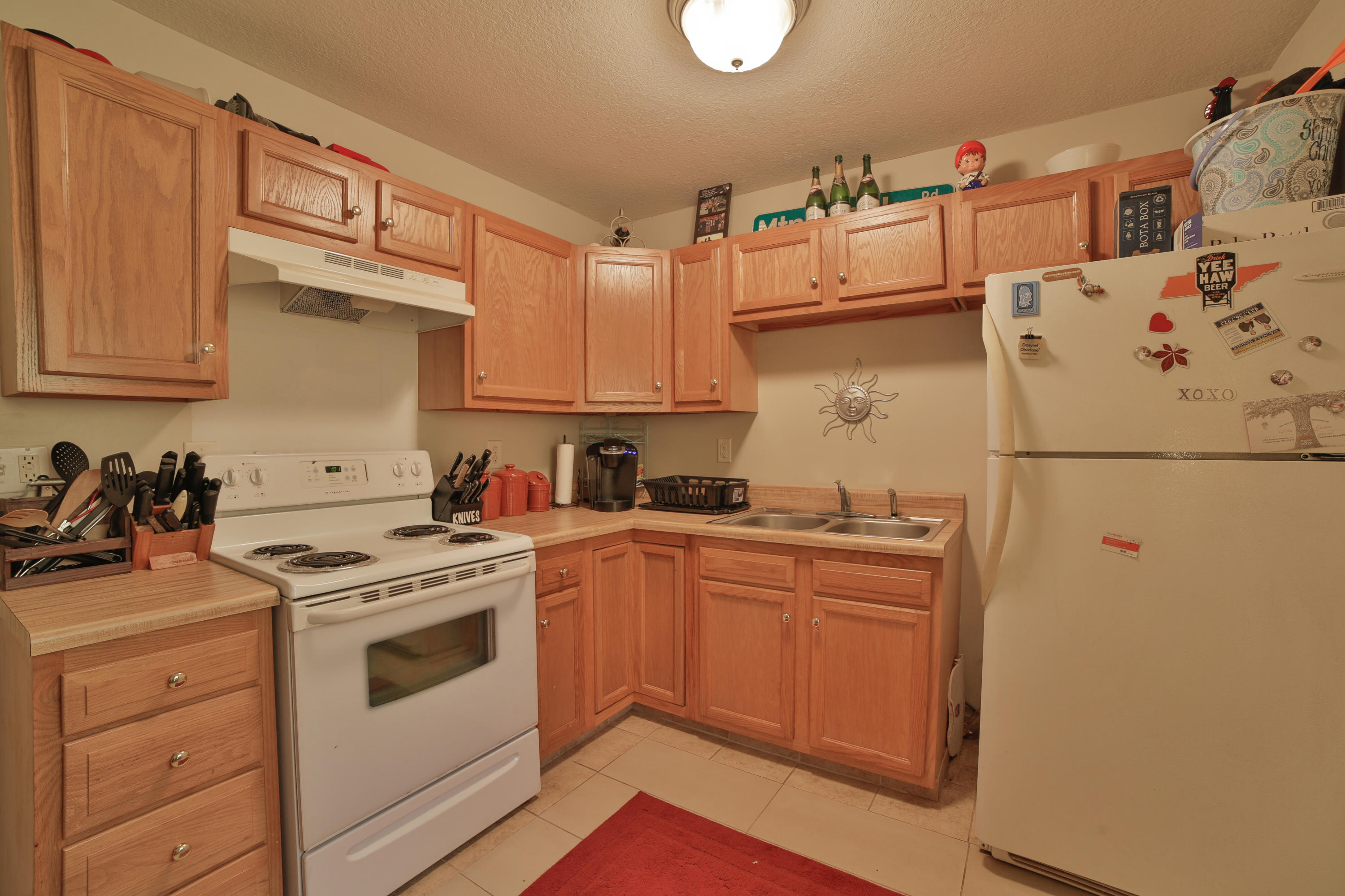 497 Pickett Road Signal Mountain, TN 37377 - Photo 5 of 9 Trevor-9