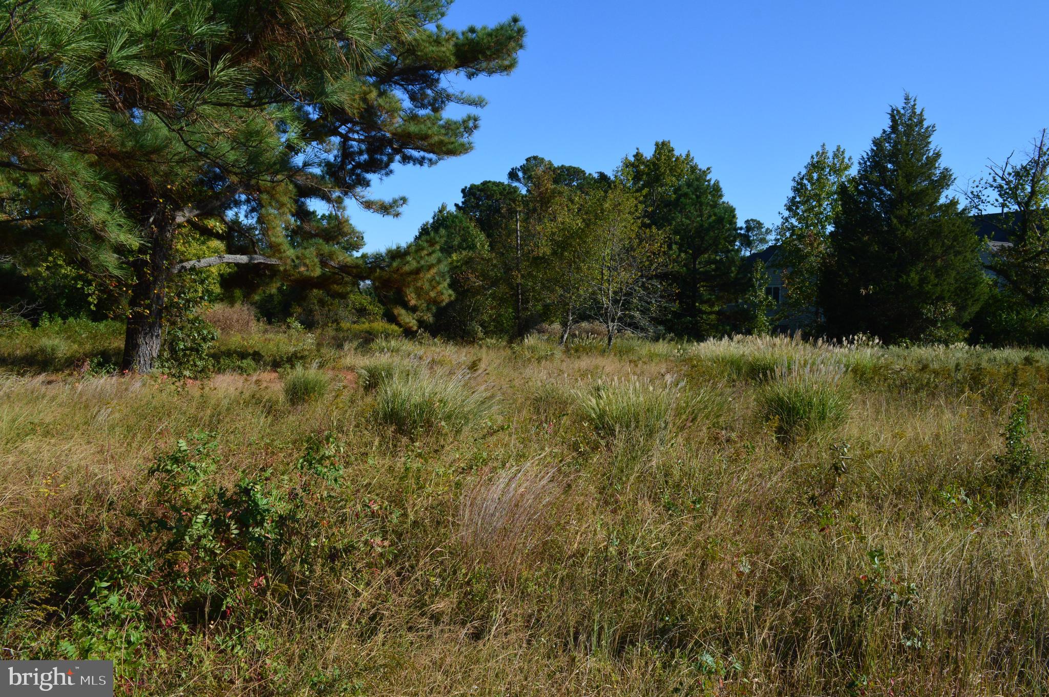 14098 Dowell Road Dowell, MD 20629 - Photo 7 of 11