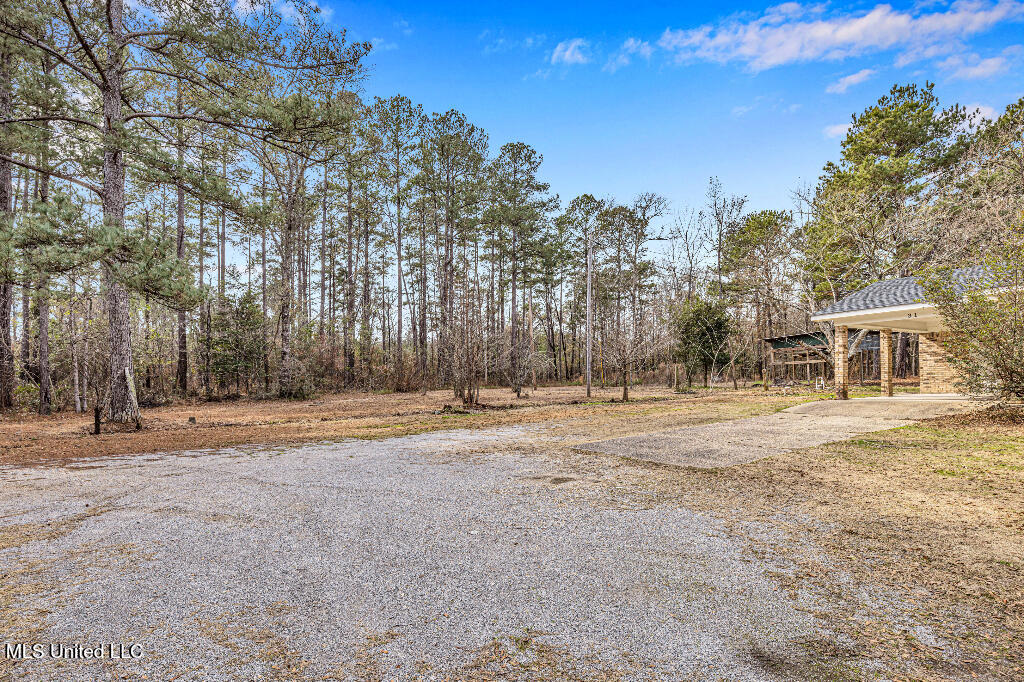 31 Bolton Chapel Road Beaumont, MS 39423 - Photo 5 of 29 04