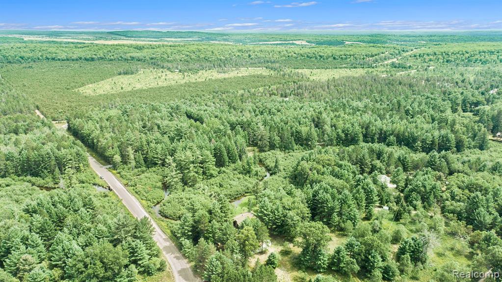 1963 West Karen Lake Road Grayling, MI 49738 - Photo 42 of 50