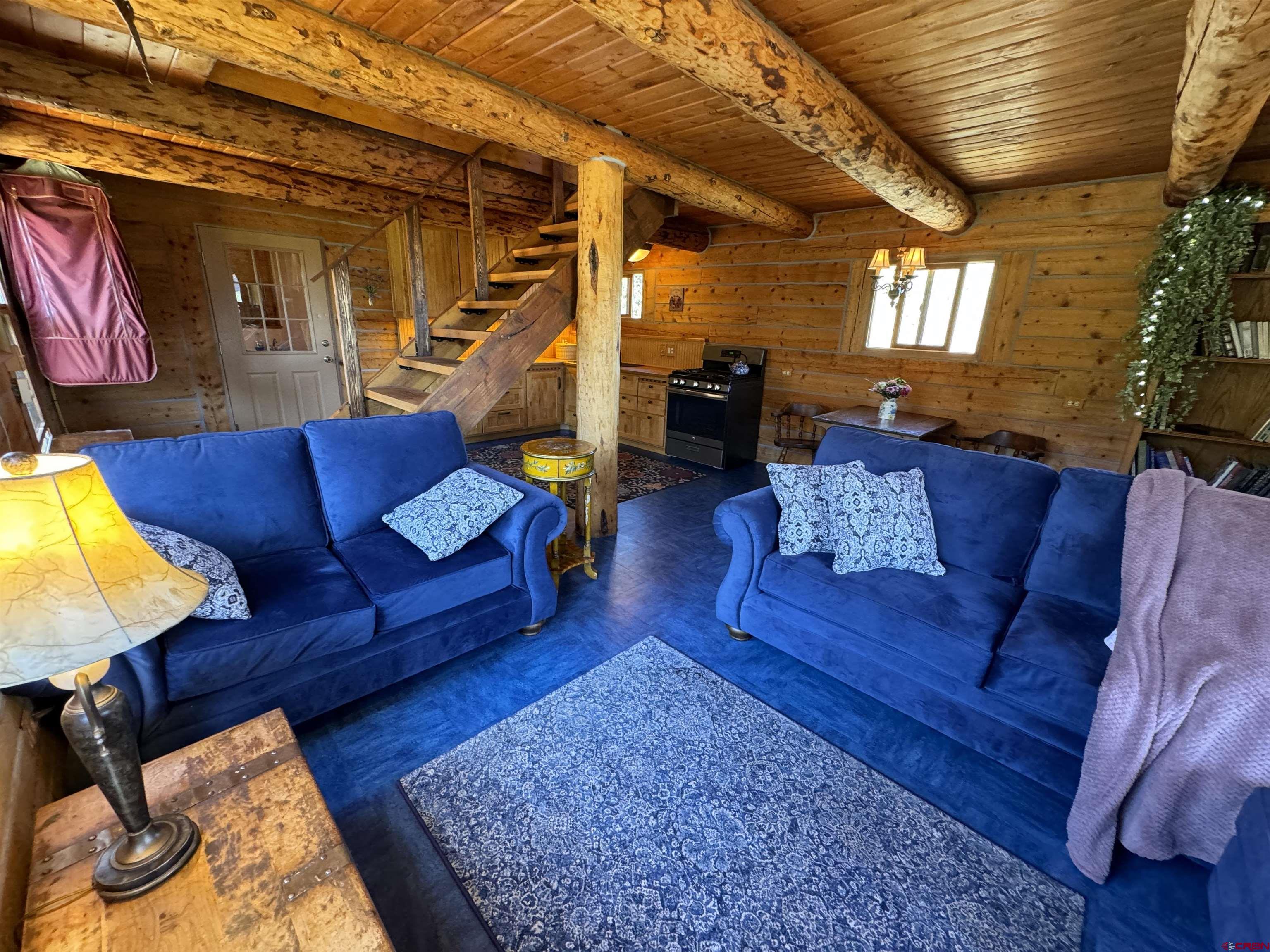 36890 County Road East Del Norte, CO 81132 - Photo 5 of 26 Gallery Image 5