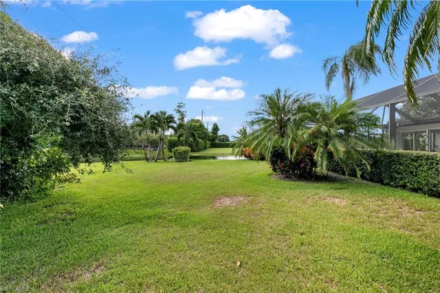 a view of a garden with a tree