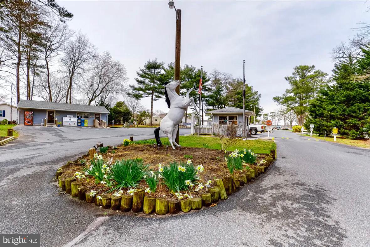233 Dolphin Drive Berlin, MD 21811 - Photo 24 of 25