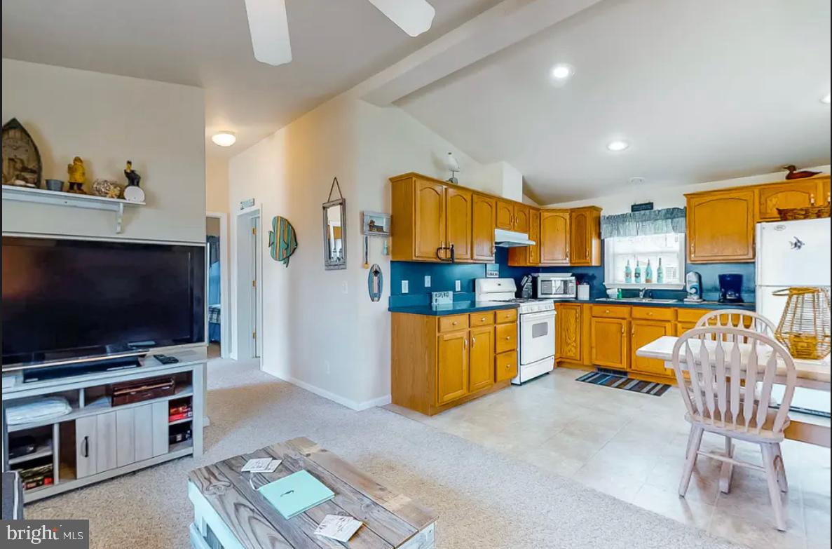 233 Dolphin Drive Berlin, MD 21811 - Photo 6 of 25