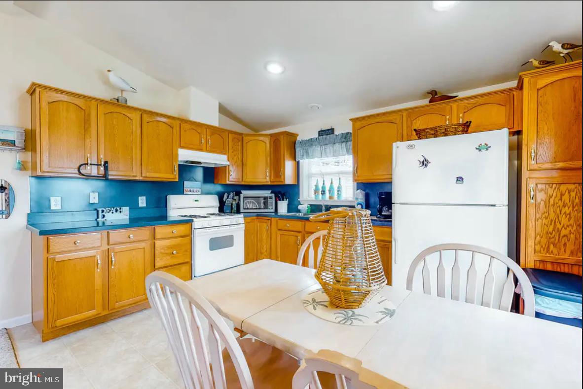 233 Dolphin Drive Berlin, MD 21811 - Photo 8 of 25