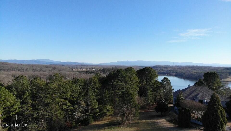 160 Pointe Summit Drive Greenback, TN 37742 - Photo 4 of 8 tempImagePfLTi2