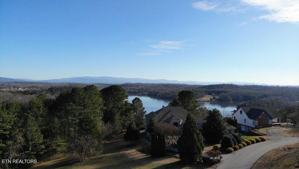 160 Pointe Summit Drive Greenback, TN 37742 - Photo 5 of 8 tempImageeLPyX7