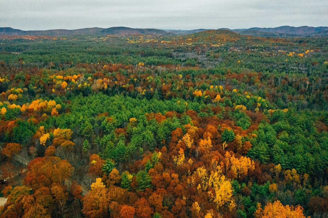 0 Spring Road West Newfield, ME 04095 - Photo 14 of 17 Drone 3