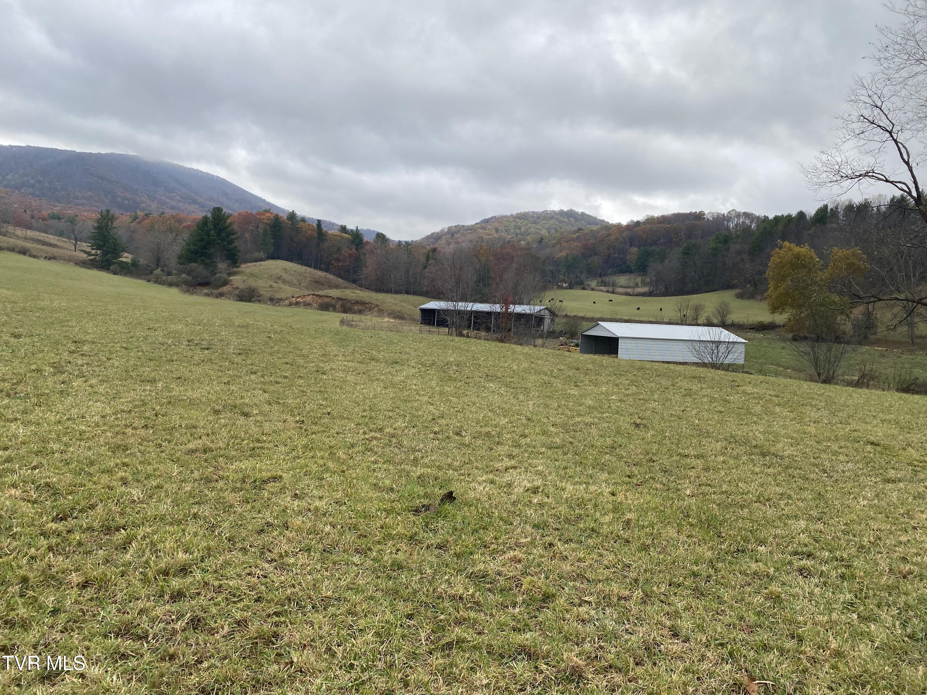 214 Comers Creek Road Sugar Grove, VA 24375 - Photo 13 of 42 IMG_7011