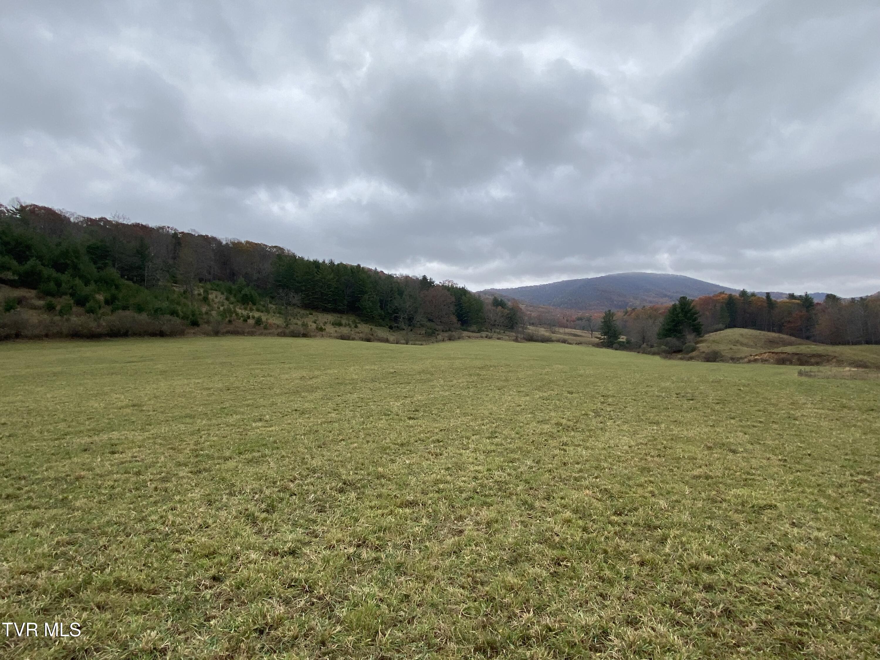 214 Comers Creek Road Sugar Grove, VA 24375 - Photo 16 of 42 IMG_7014