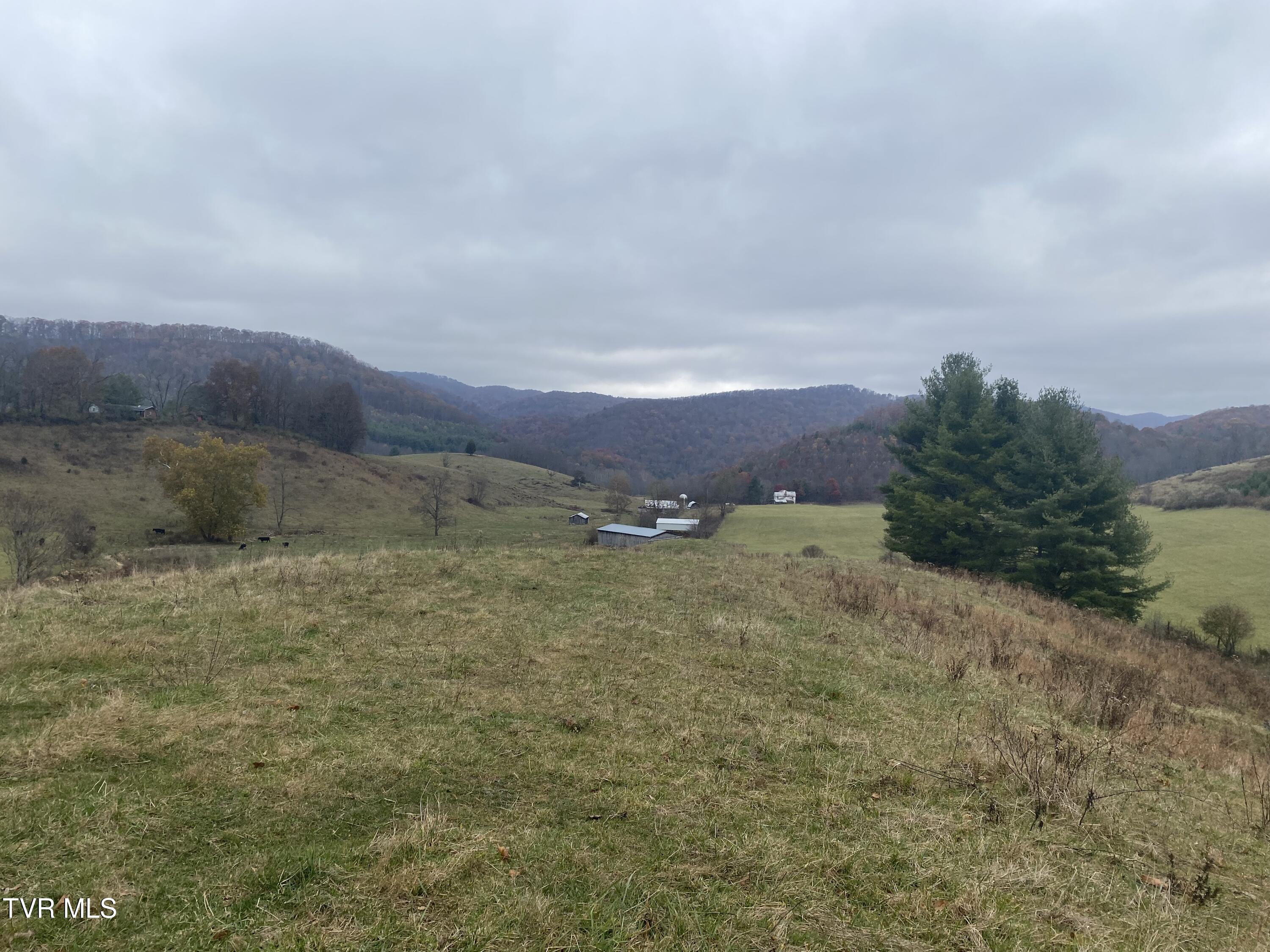 214 Comers Creek Road Sugar Grove, VA 24375 - Photo 17 of 42 IMG_6987