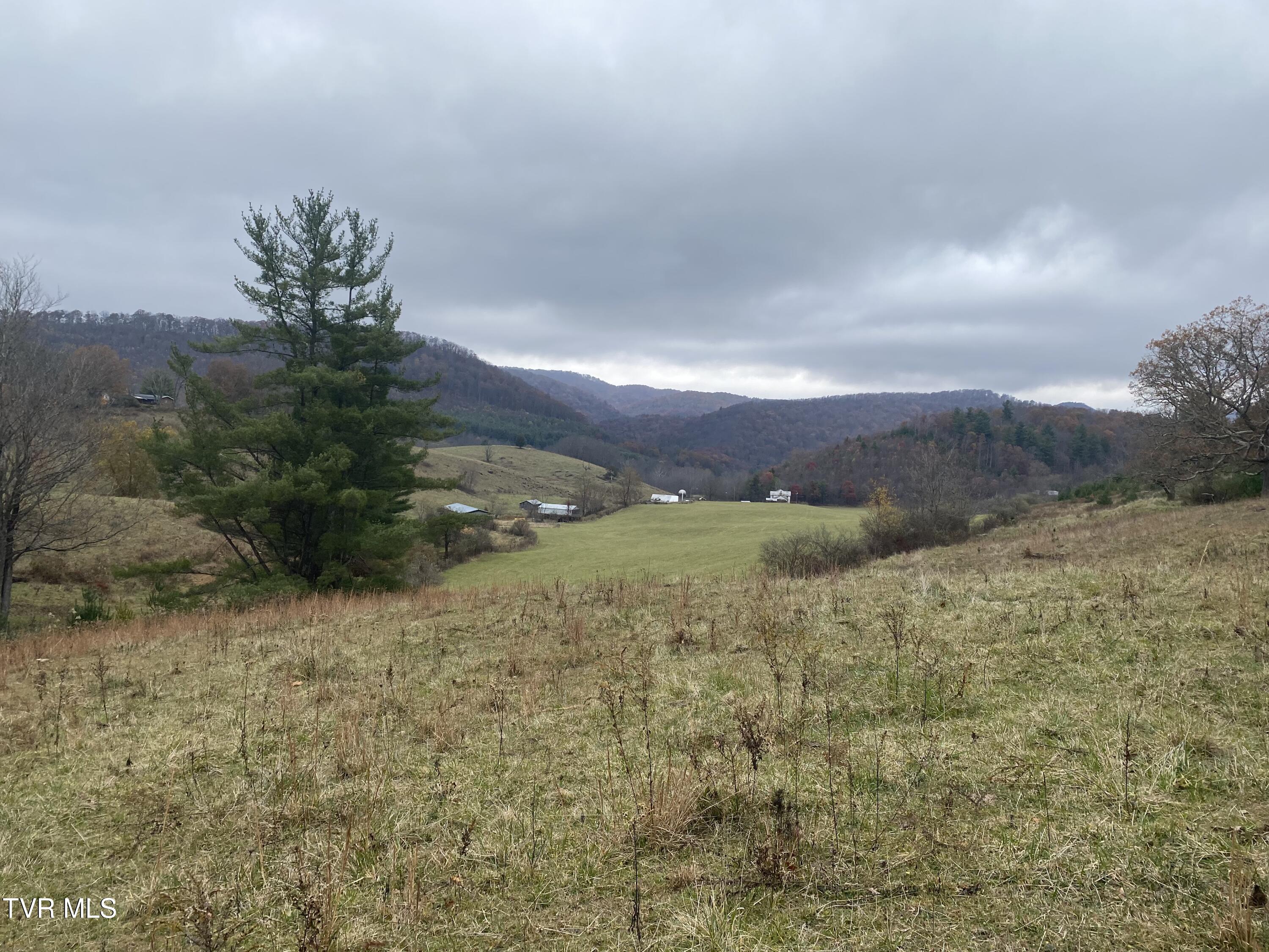 214 Comers Creek Road Sugar Grove, VA 24375 - Photo 20 of 42 IMG_6992