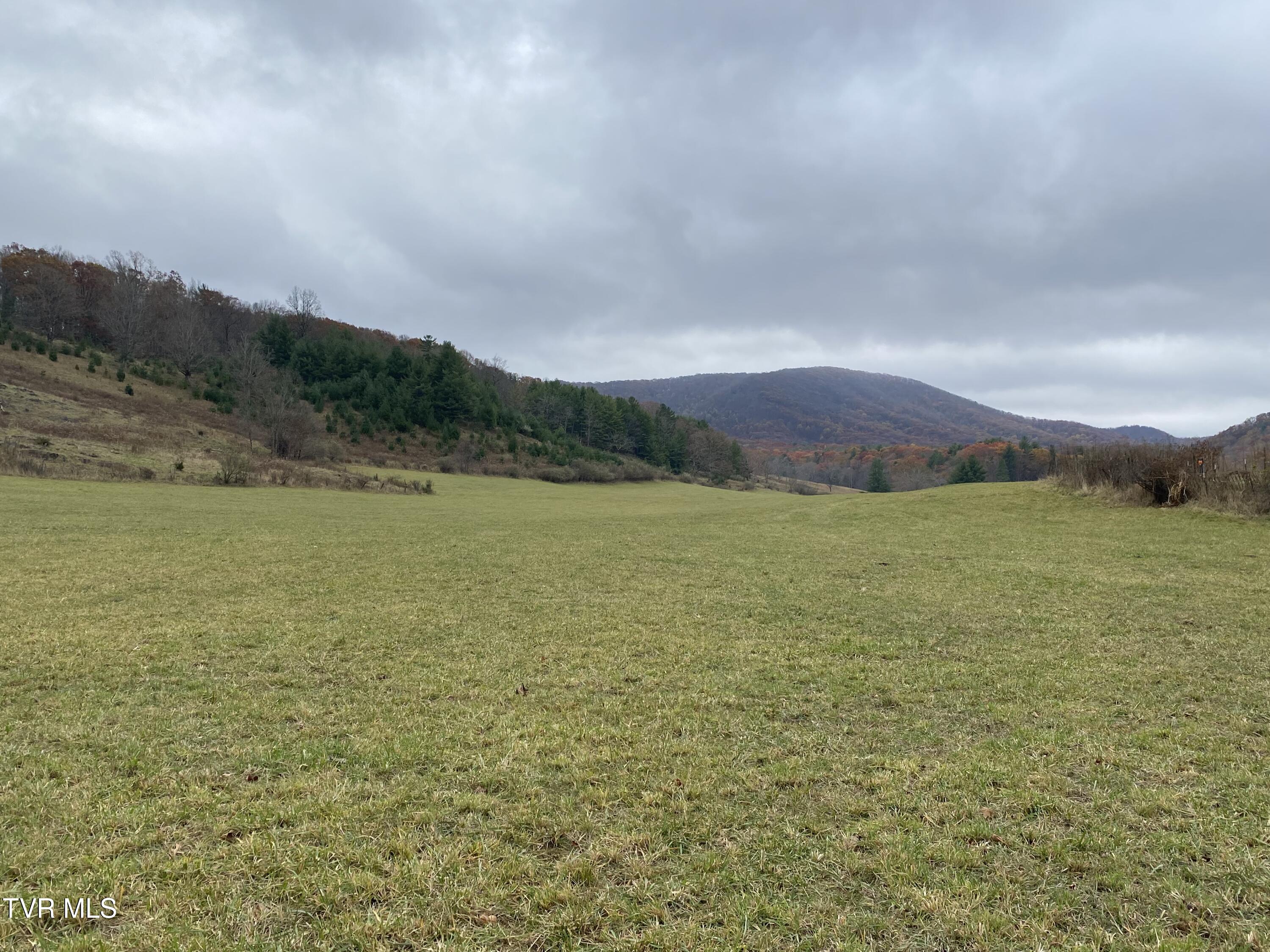 214 Comers Creek Road Sugar Grove, VA 24375 - Photo 2 of 42 IMG_7029