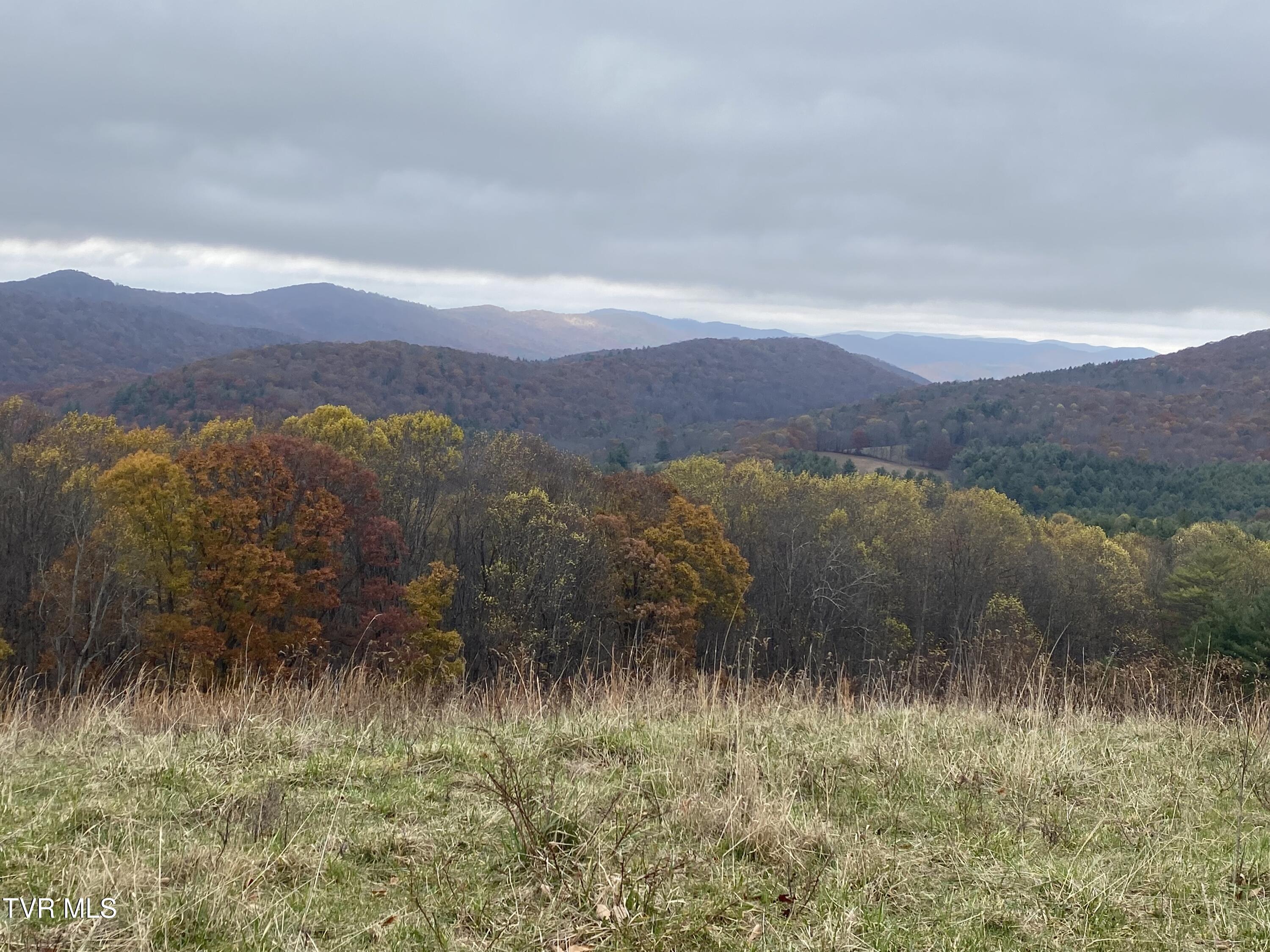 214 Comers Creek Road Sugar Grove, VA 24375 - Photo 22 of 42 IMG_7001