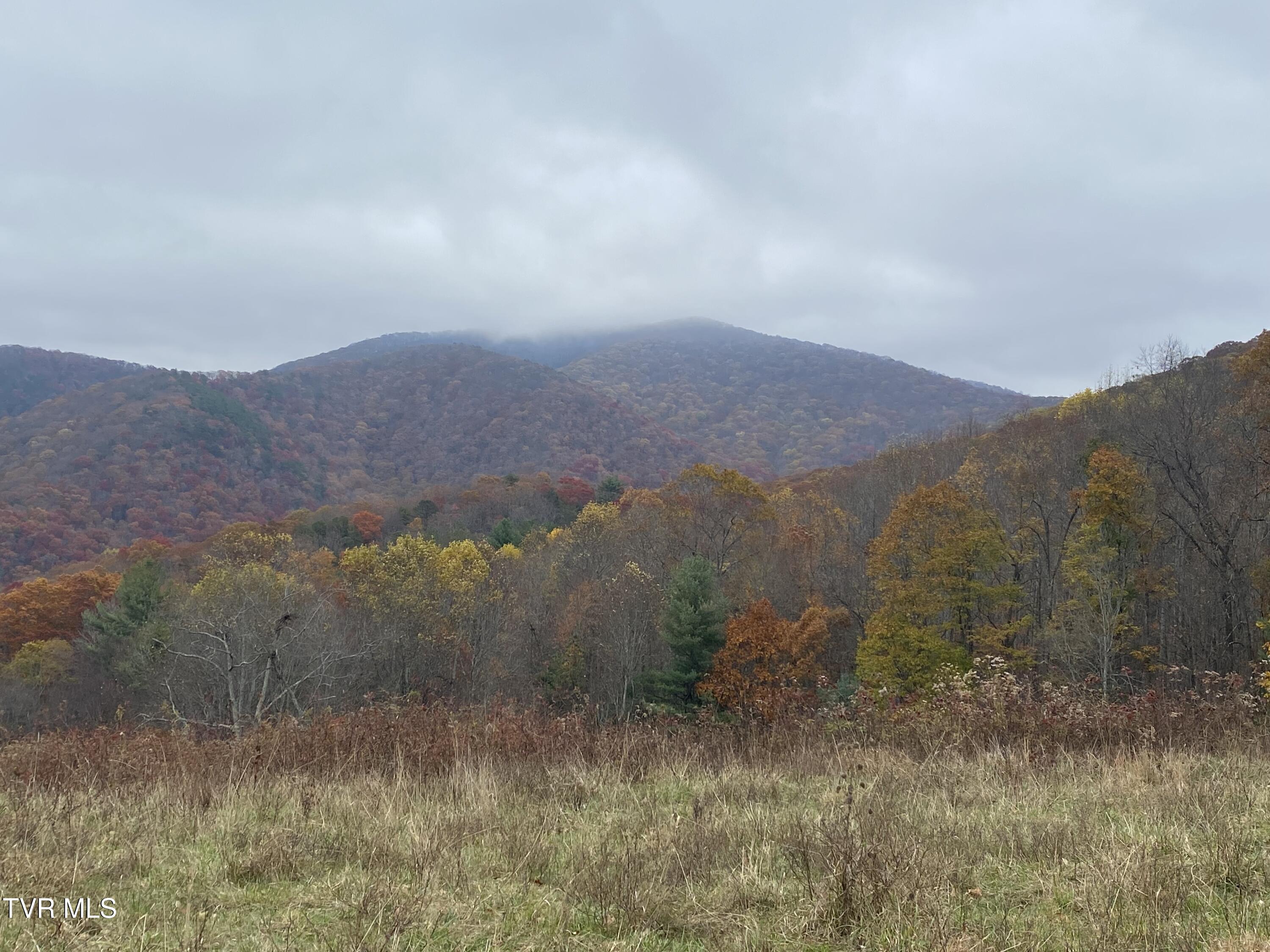 214 Comers Creek Road Sugar Grove, VA 24375 - Photo 25 of 42 IMG_7002