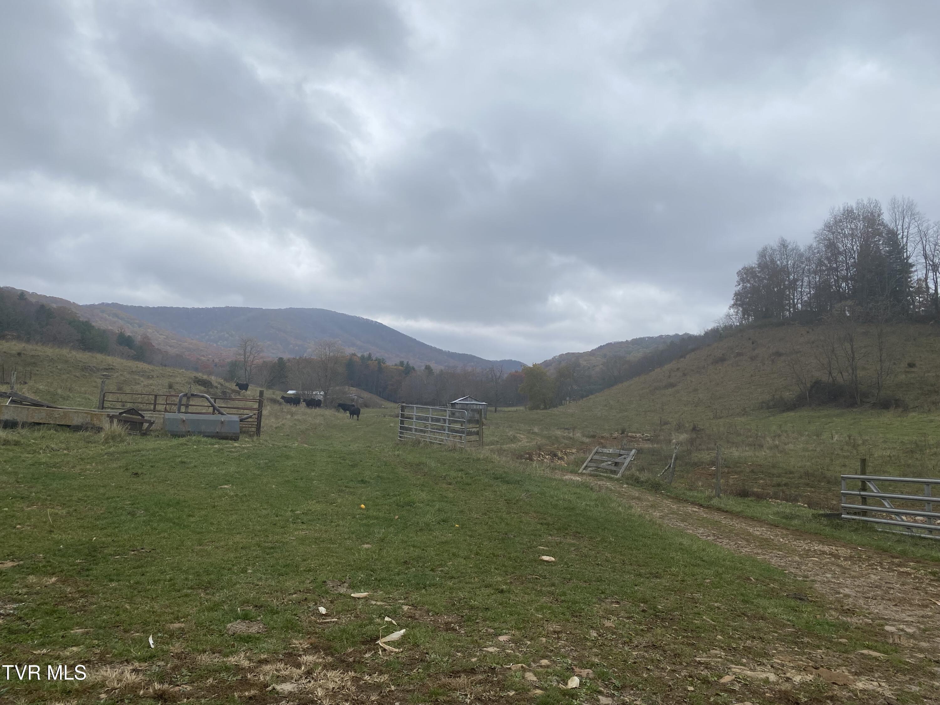 214 Comers Creek Road Sugar Grove, VA 24375 - Photo 31 of 42 IMG_6954