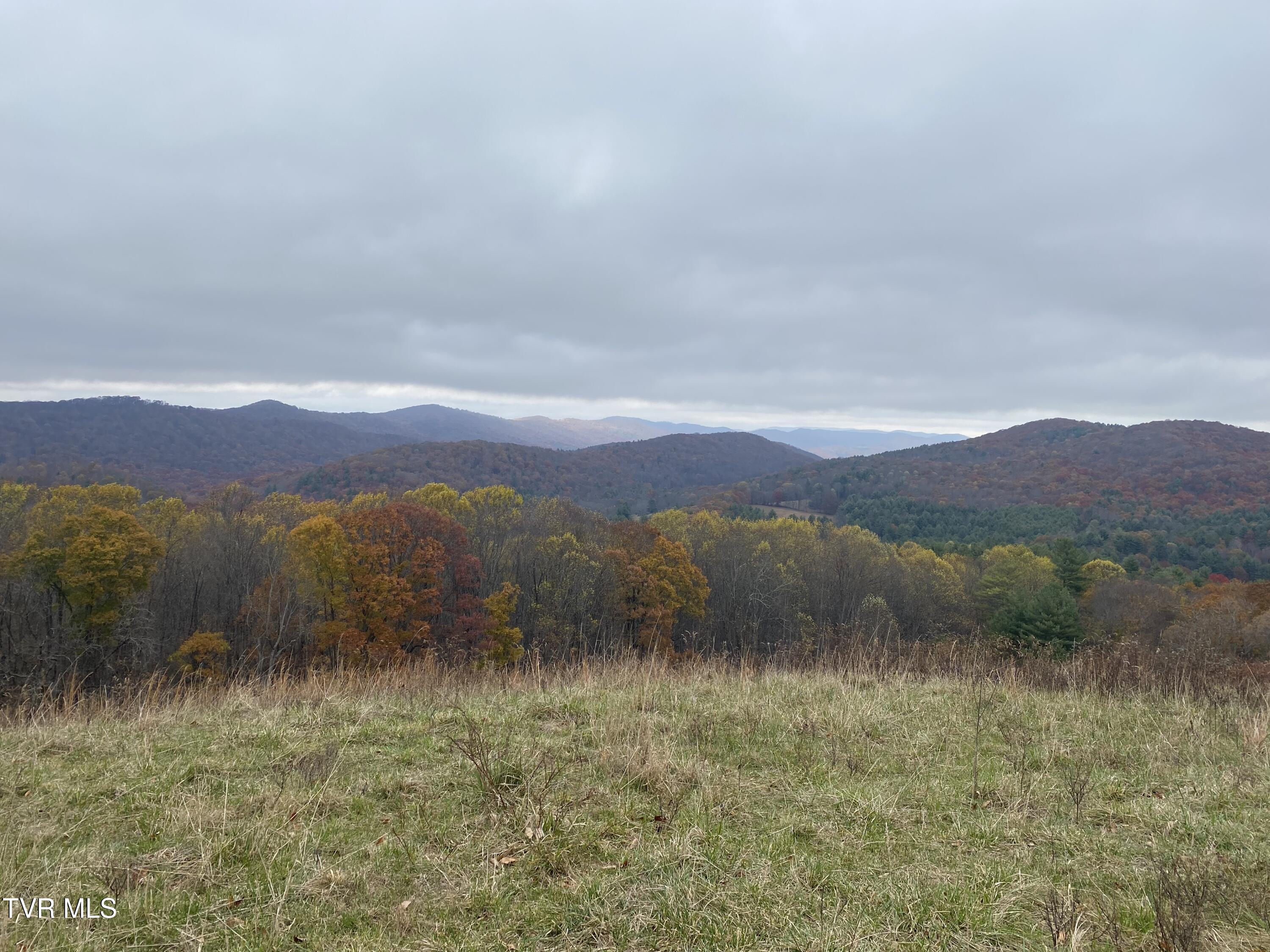 214 Comers Creek Road Sugar Grove, VA 24375 - Photo 8 of 42 IMG_7005