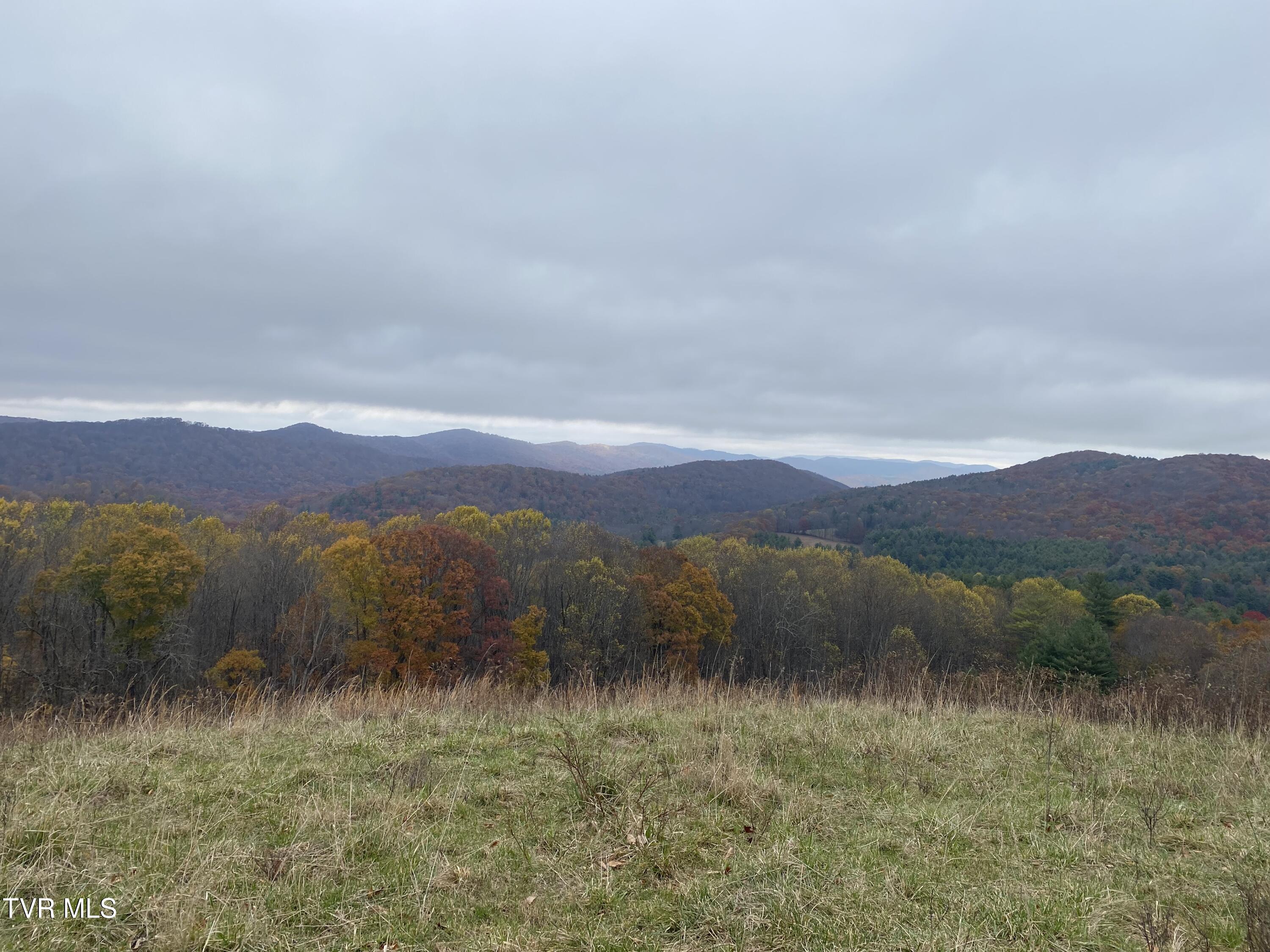 214 Comers Creek Road Sugar Grove, VA 24375 - Photo 8 of 42 IMG_6996