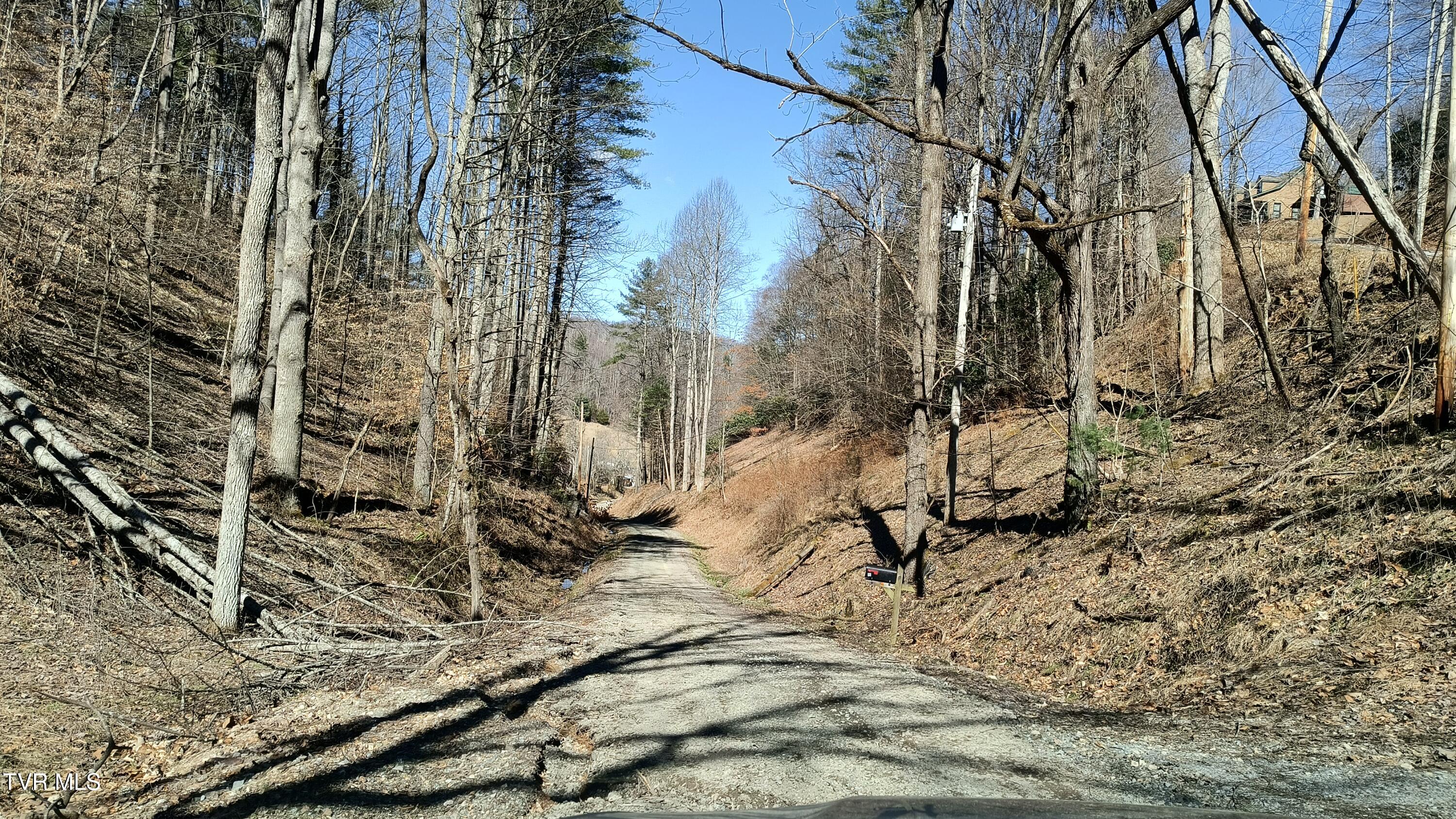 841 Green Road Butler, TN 37640 - Photo 11 of 55 Driveway2