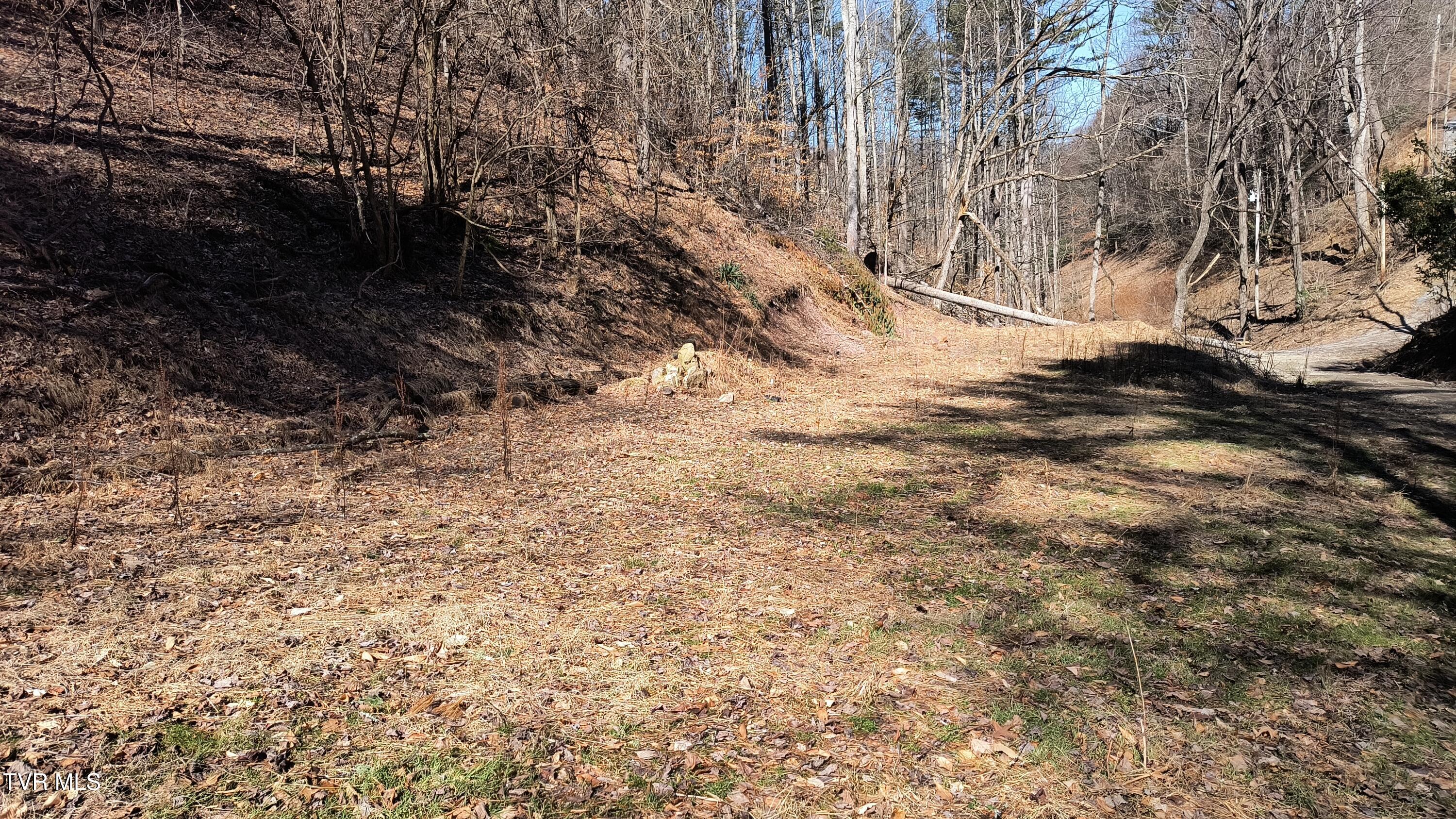 841 Green Road Butler, TN 37640 - Photo 18 of 55 Road to the top