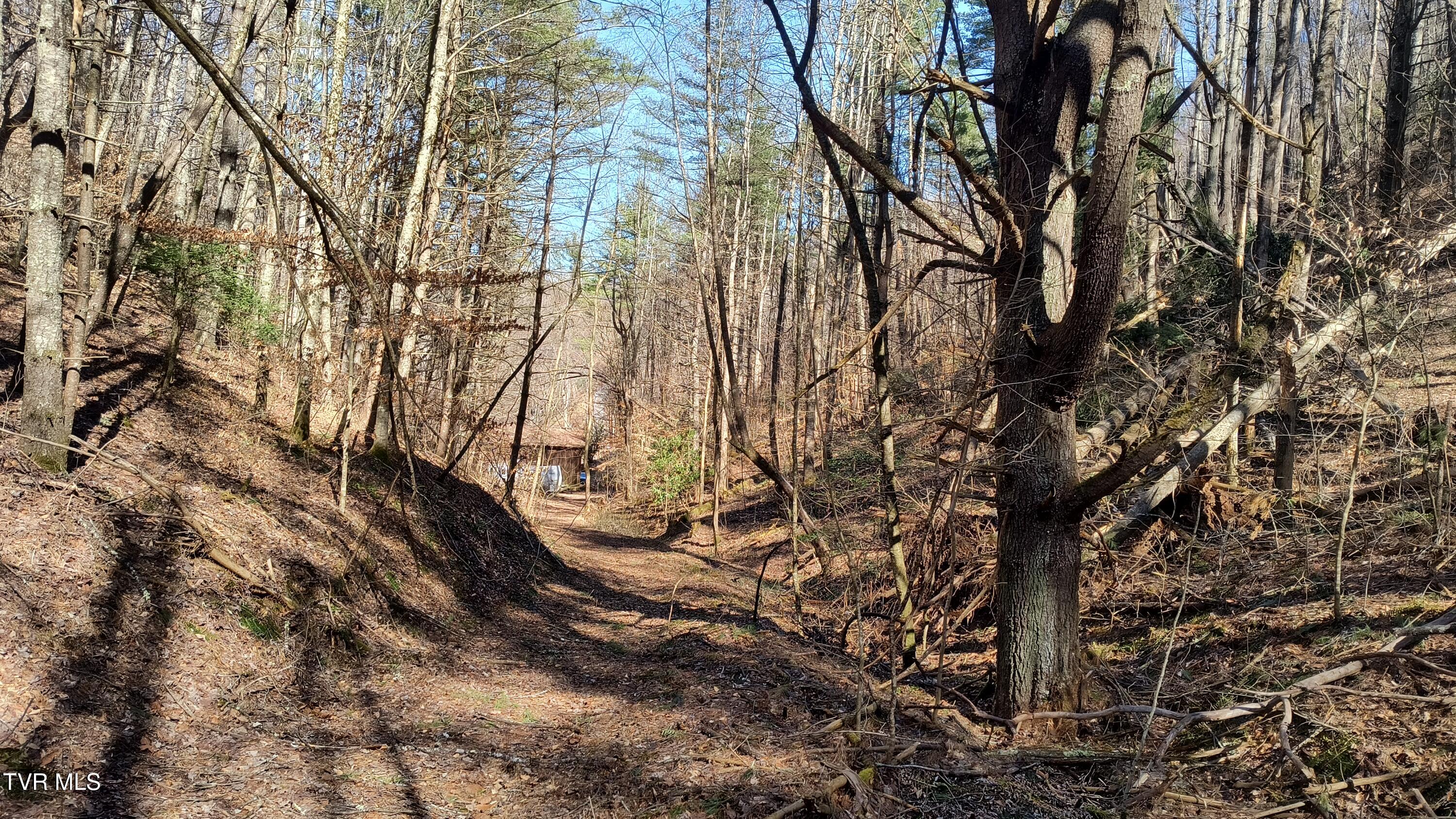 841 Green Road Butler, TN 37640 - Photo 19 of 55 Road to the top 2