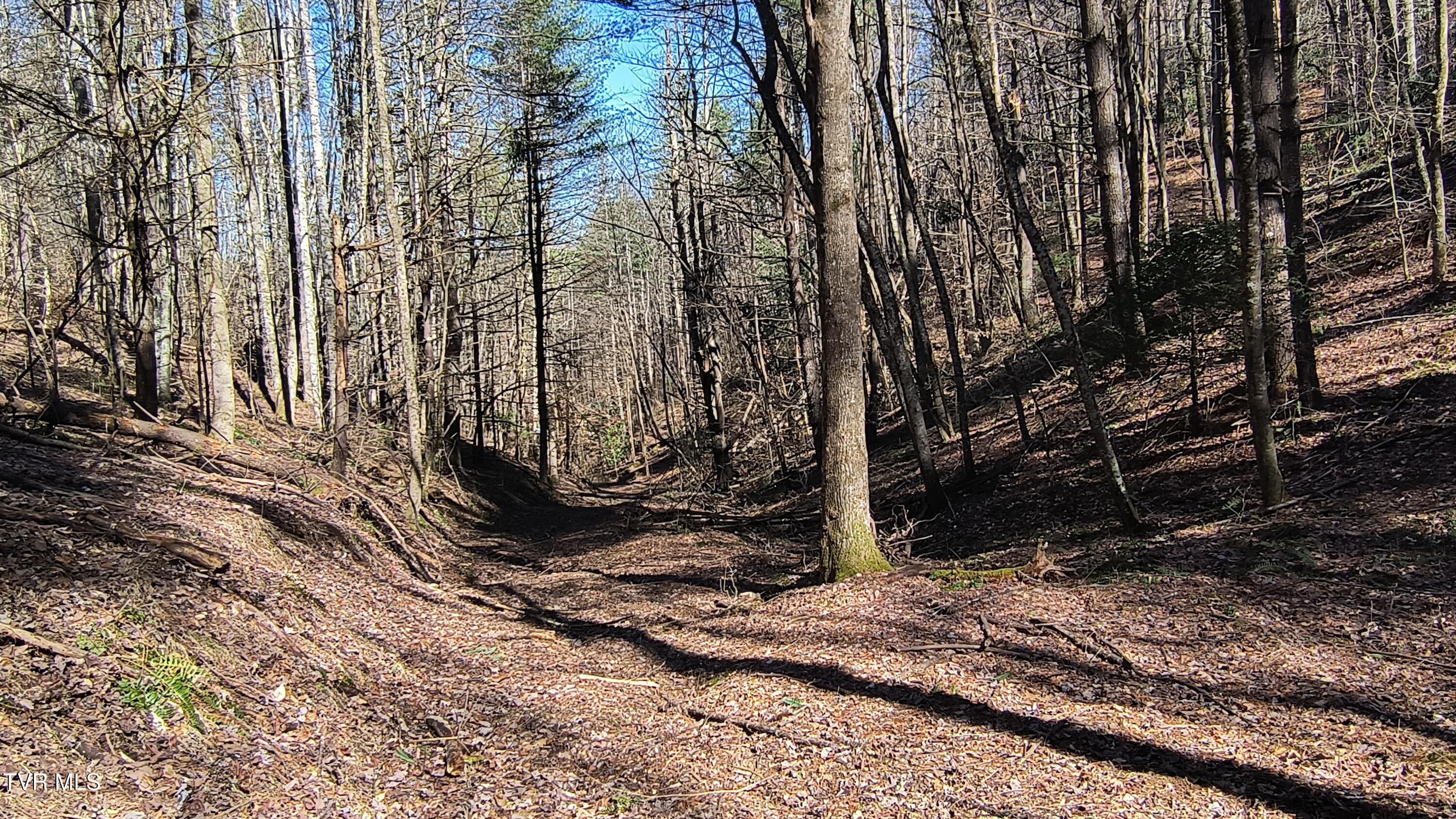 841 Green Road Butler, TN 37640 - Photo 20 of 55 Road to the top 3
