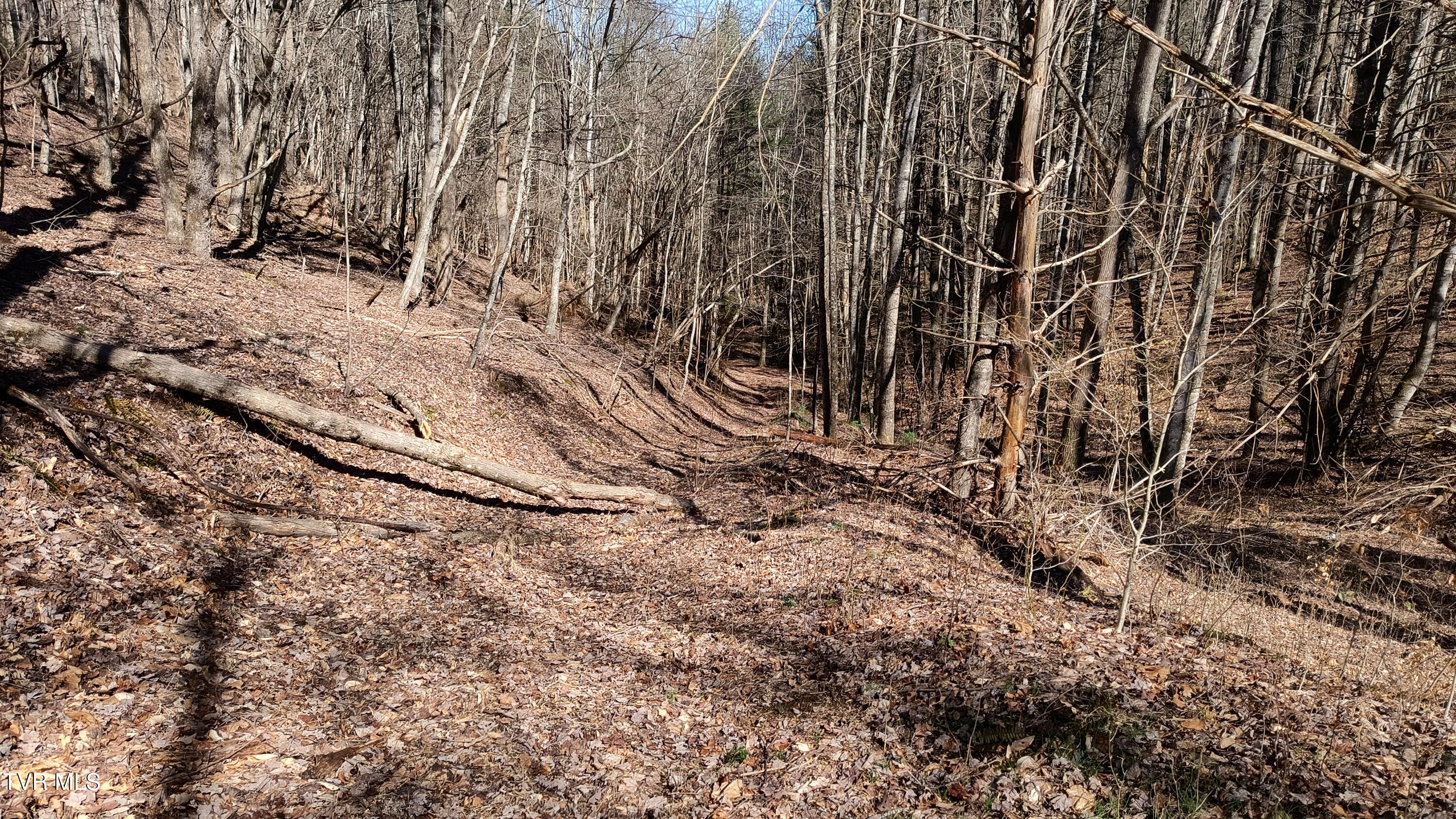 841 Green Road Butler, TN 37640 - Photo 21 of 55 IMG_20250225_132903309_HDR